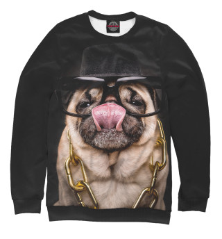 Мопс в очках