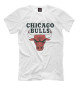 Мужская футболка Chicago Bulls