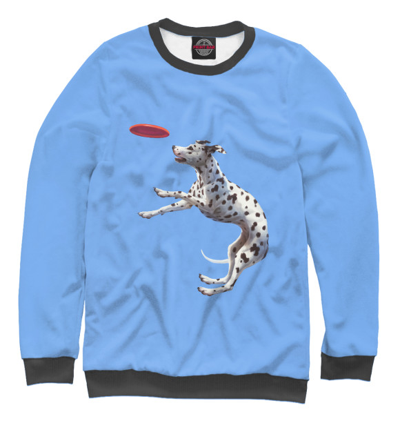Свитшот для мальчиков с изображением Dalmatian цвета Белый