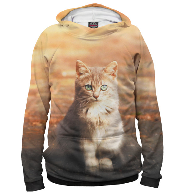 Мужское худи с изображением Коты цвета Белый