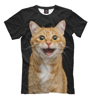 Мужская футболка Рыжий кот