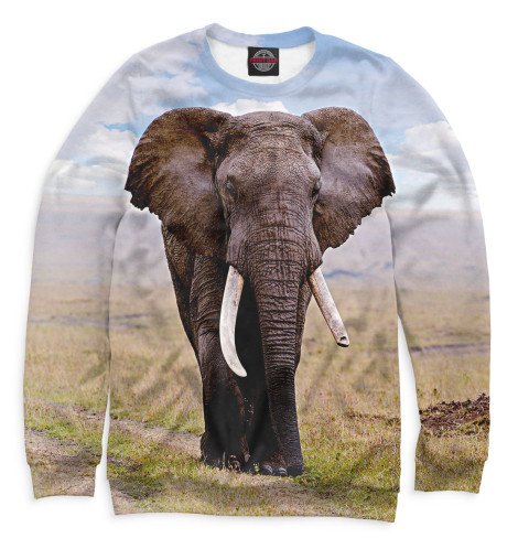 

Свитшоты Print Bar, Белый, Слоны