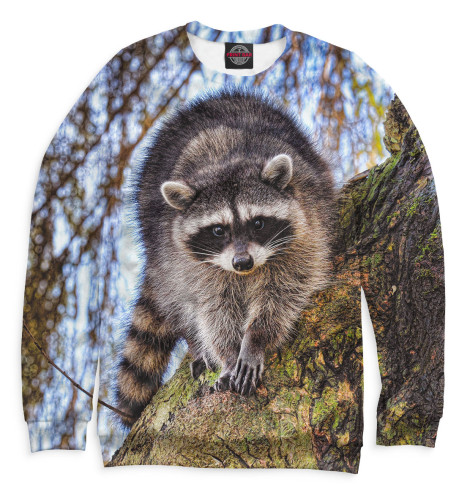 

Свитшоты Print Bar, Белый, Енот