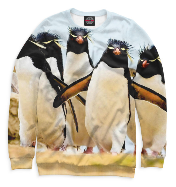 Свитшот для мальчиков с изображением Хохлатые пингвины цвета Белый