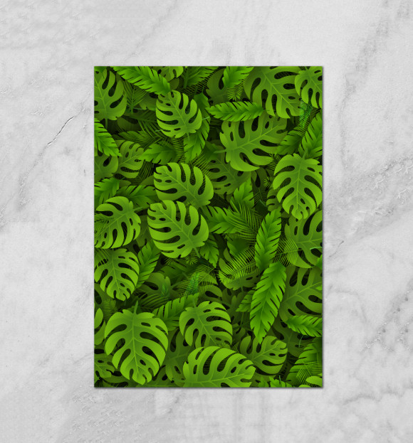 Плакат с изображением Зеленые тропические листья цвета Белый