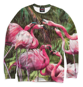 Розовые фламинго
