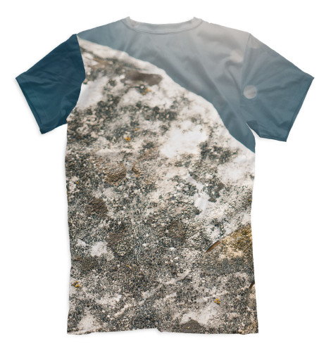 

Футболки Print Bar, Серый, Насекомые