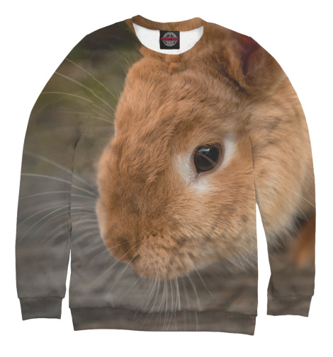 

Свитшоты Print Bar, Белый, Кролик