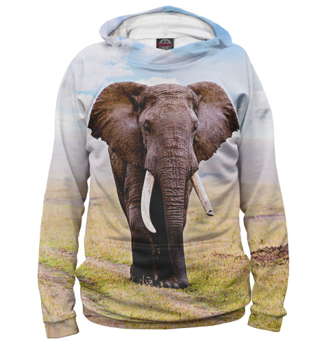 

Худи Print Bar, Белый, Слоны