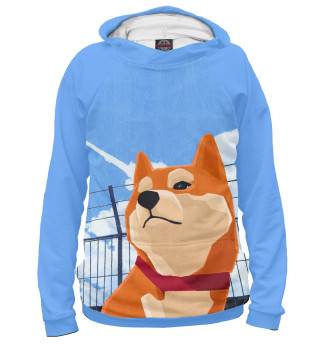 shiba inu