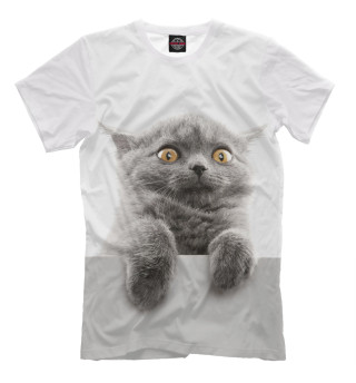 Мужская футболка Испуганный кот