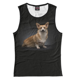 Corgi dog