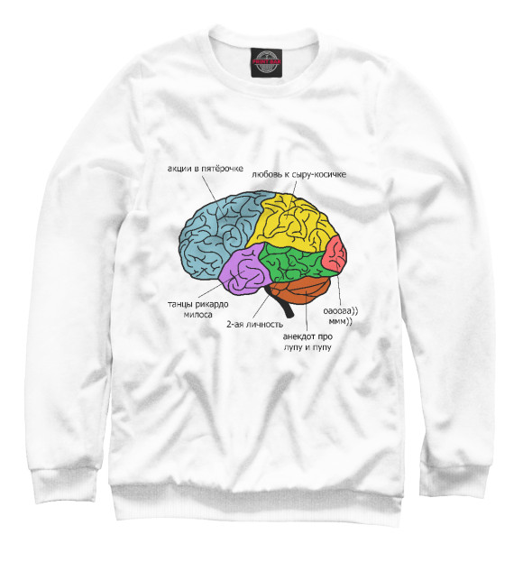 Свитшот для мальчиков с изображением Строение мозга цвета Белый