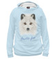 Мужское худи Arctic fox