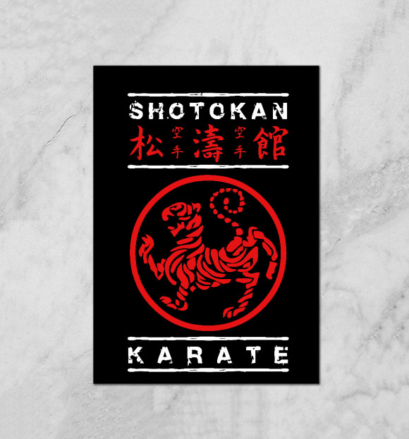 Плакат с изображением Shotokan Karate цвета Белый