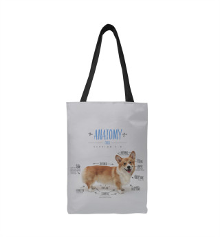 Welsh Corgi