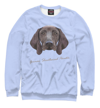 German shorthaired pointer