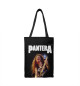 Dimebag Darrell