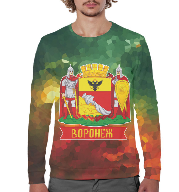 Мужской свитшот с изображением Воронеж цвета Белый