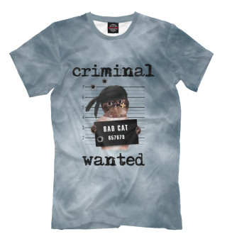 Criminal cat