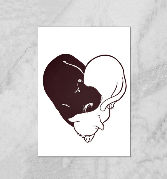 Плакат с притом Любовь цвета Белый Плакат с изображением Любовь цвета Белый