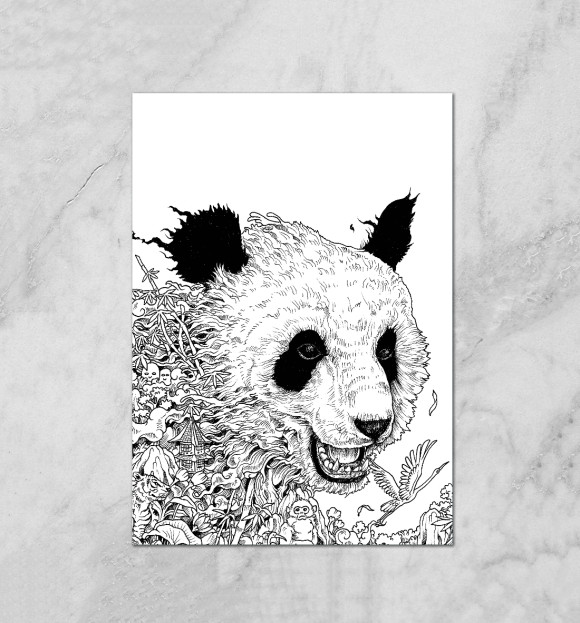 Плакат с изображением Король Панда цвета Белый