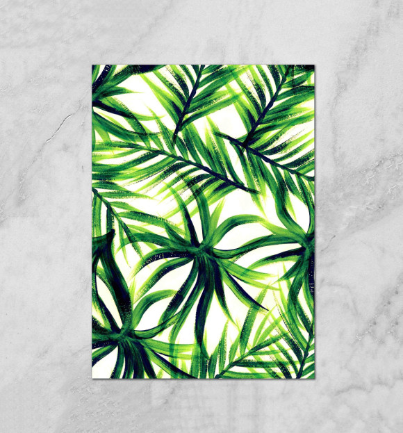 Плакат с изображением Пальмовые листья цвета Белый