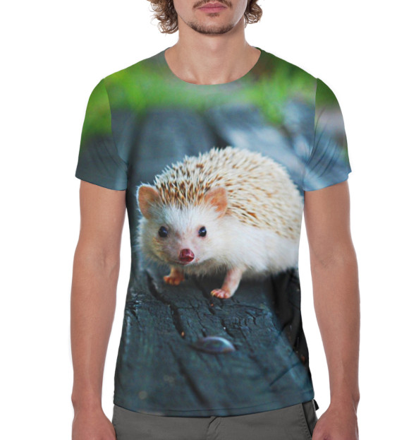 Мужская футболка с изображением Ёжики цвета Белый
