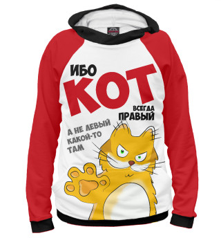 Кот всегда правый