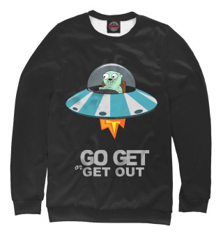 Golang - go get or get out