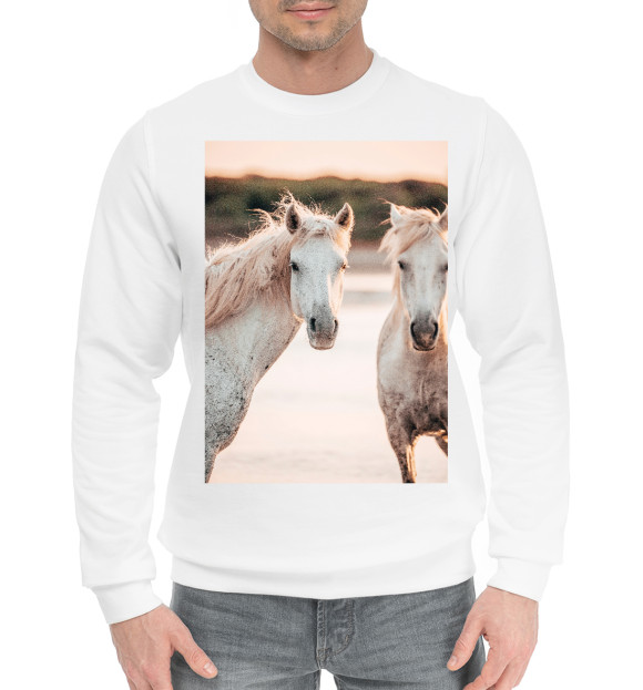 Мужской хлопковый свитшот с изображением Белая лошадь цвета Белый