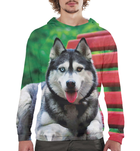 Мужское худи с изображением Хаски цвета Белый