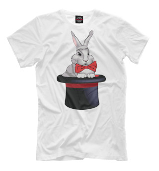  Кролик в шляпе