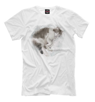 Мужская футболка Спящий котик
