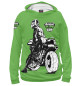 Мужское худи Kawasaki Ninja cup