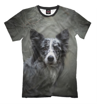 Мужская футболка Собака в хвойном лесу