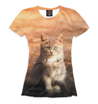 Женская футболка Коты