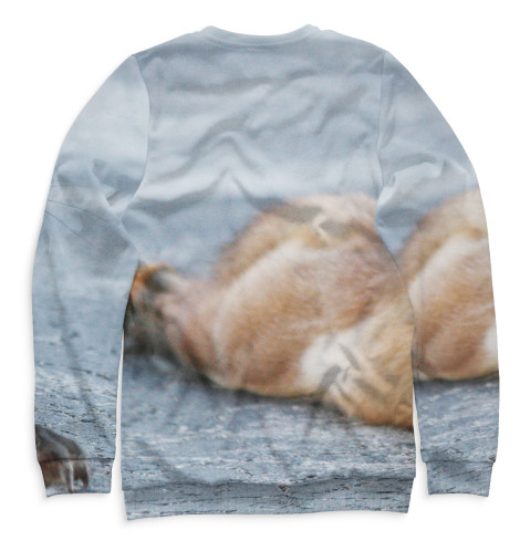 

Свитшоты Print Bar, Белый, Лисы