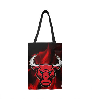  Chicago Bulls