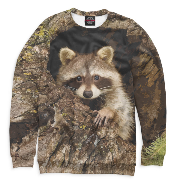 Женский свитшот с изображением Енот в дупле цвета Белый