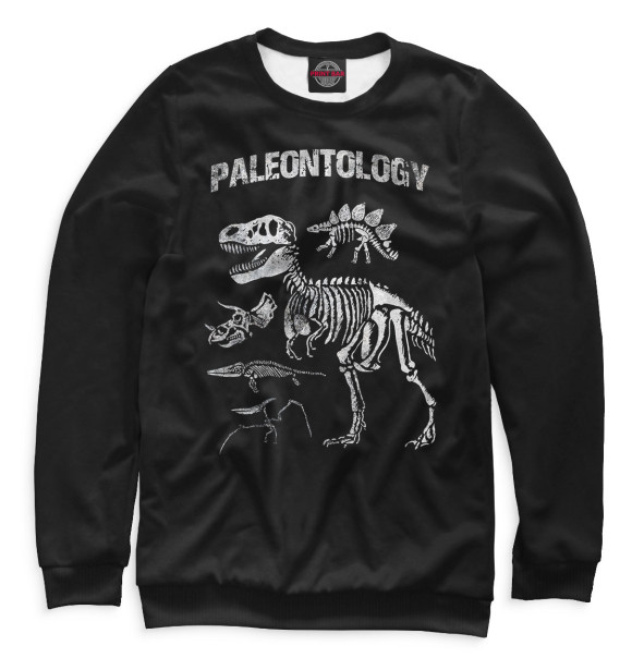 Свитшот для мальчиков с изображением Paleontology цвета Белый