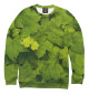 Женский свитшот Зелёные листья