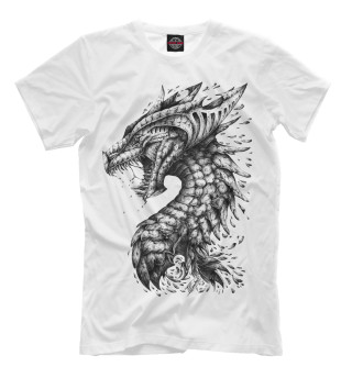 Футболка для мальчиков Dragon