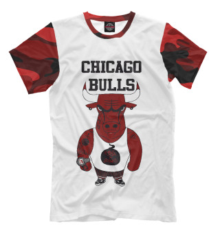  Chicago bulls