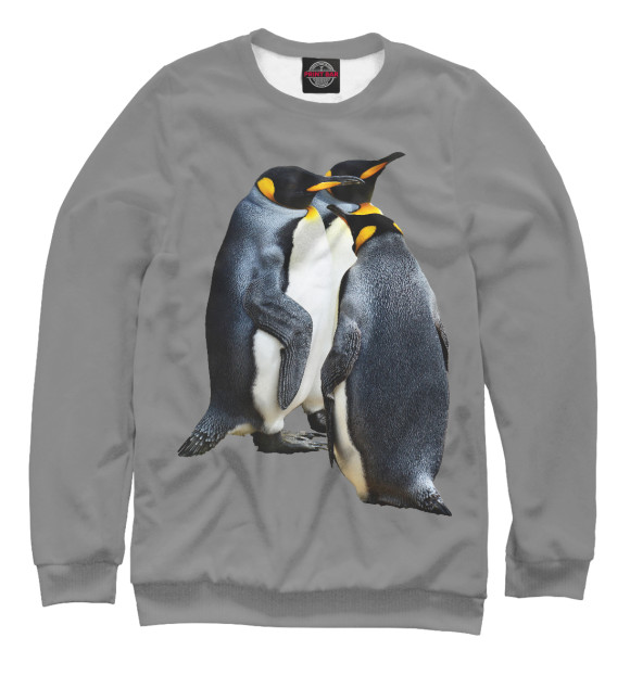 Свитшот для мальчиков с изображением Королевский Пингвин цвета Белый