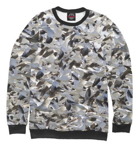 

Свитшоты Print Bar, Белый, Стая гусей