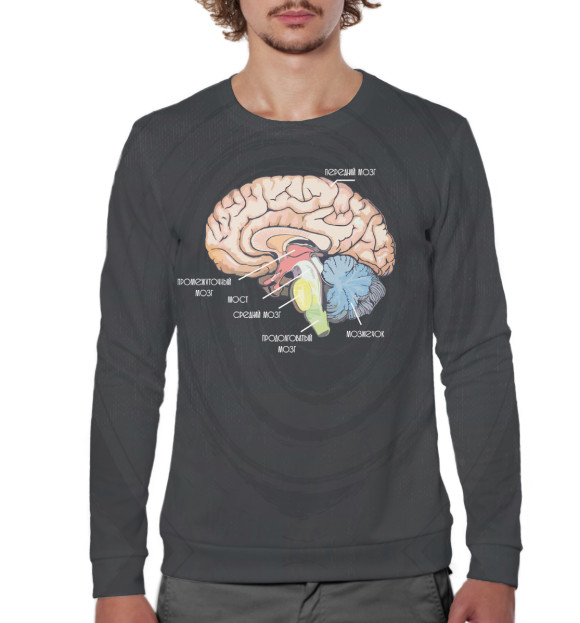 Мужской свитшот с изображением Мозг цвета Белый