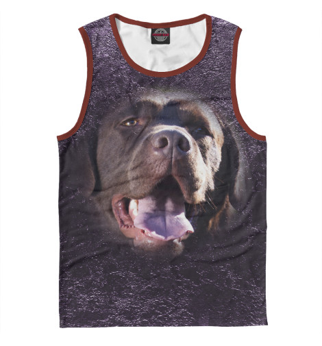 

Майки Print Bar, Белый, Шоколадный лабрадор