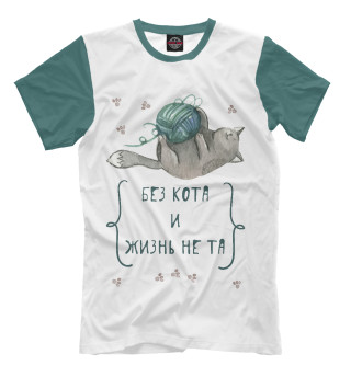 Без кота и жизнь не та