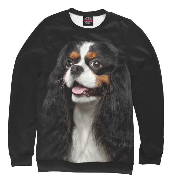 Свитшот для мальчиков с изображением Кавалер Кинг Чарльз спаниель цвета Белый